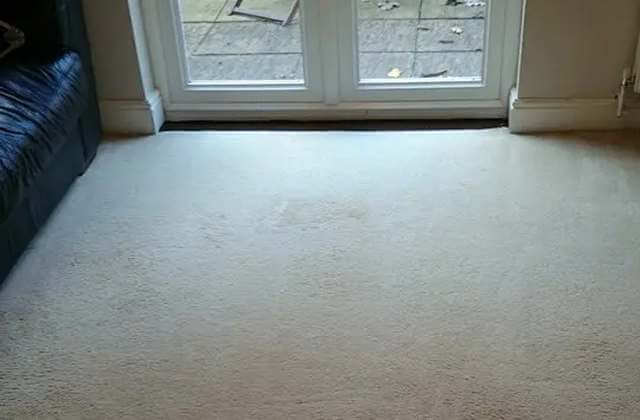 Living Room Carpet Clean