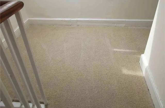 Hallway Carpets Cleaned